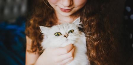 Algunas razas de gatos son más idóneas para convivir con niños por su afabilidad.