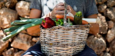 De la huerta al mar, de la viña y el olivo a las salinas, en la isla puede encontrarse de todo.