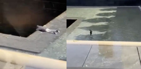 Un hombre salta al foso del Memorial del 11 de septiembre en Nueva York y es hospitalizado