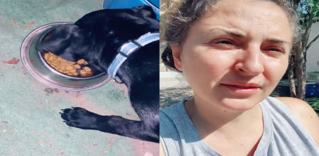 La chica pagó 20 euros por la perra