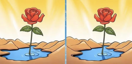 Pon a prueba tu inteligencia con este acertijo visual: ¿Puedes encontrar las tres diferencias?