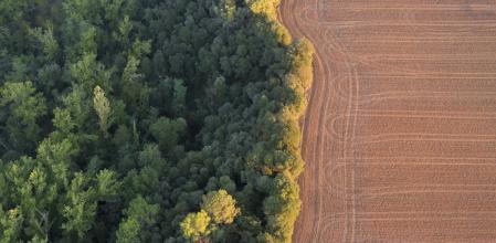 La Garrotxa a vista de globo,