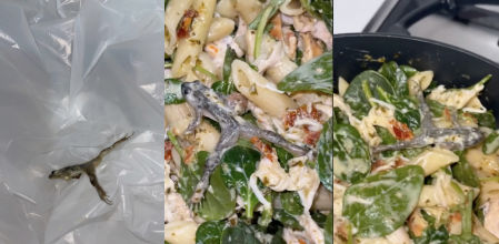 Una mujer encuentra una rana muerta en el interior de su bolsa de espinacas: “Estoy traumatizada”