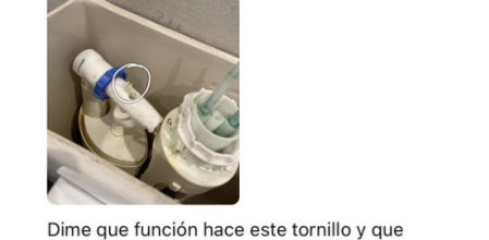 La consulta del especialista a Chat GPT