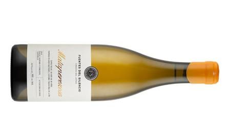 Vinos del río Duero