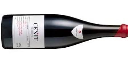 Vinos del río Duero