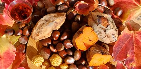 Ambiente de castañada con panellets, vino dulce y boniatos en el pueblo de Mura (Bages)