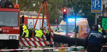 Una mujer fallecida por la caída de un árbol en la calle Almagro, en Madrid.