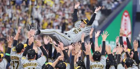 Los jugadores del Hanshin Tigers mantean a Akinobu Okada, mánager del equipo