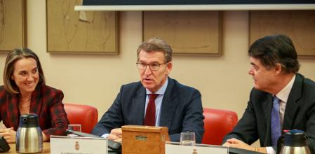 Alberto Núñez Feijóo, junto a Cuca Gamarra y Carlos Rojas, durante las jornadas sobre la amnistía que el PP celebra en el Congreso