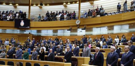 El pleno del Senado guardó un minuto de silencio, como es habitual, por la última victima de violencia de género.