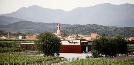 El vino de la semana: La Vinyeta Microvins Carinyena 2019