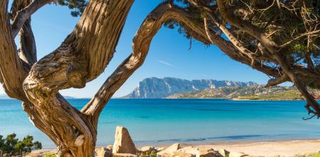 Playa de Capo Coda Cavallo, en Cerdeña