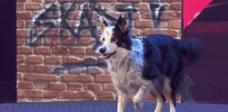 Skadi es toda una estrella en TikTok