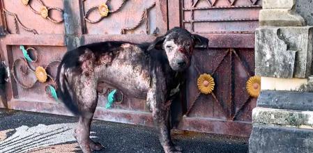 Pete ahora disfruta de una vida completamente diferente