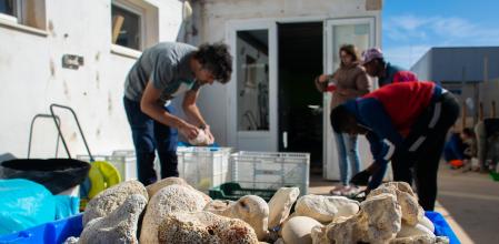 El material confiscado se clasifica para ser retornado a su punto de origen