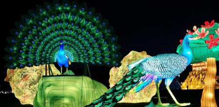 Imagen espectacular del nuevo zoo iluminado estas navidades en Madrid