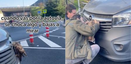 El angustioso rescate de un pájaro enganchado al capó de un coche: “suerte de los bomberos”