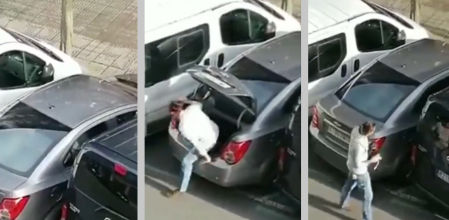 Descripción de la imagen