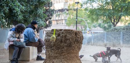 FOTO MARTI GELABERT 18/12/2023 EL AYUNTAMIENTO DE BARCELONA HA DECIDIDO CORTAR MAS DE 700 PALMERAS EN LA CIUDAD DESPUES DEL ACCIDENTE MORTAL A UNA MUJER. AHORA, DEBE CORTAR LAS RAICES Y LAS BASES DE LOS TRONCOS. UNO DE ELLOS SE ENCUENTRA EN EL PIPICAN DE LA PLAZA DOCTOR LETAMENDI