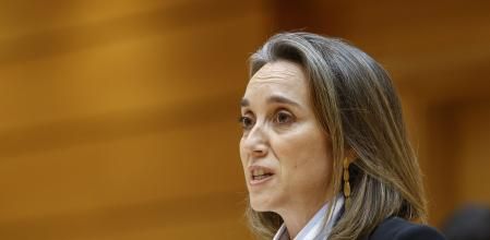 MADRID, 10/01/2024.- La portavoz del Grupo Parlamentario Popular en el Congreso, Cuca Gamarra, durante su intervención en el pleno del Congreso, reunido excepcionalmente en el Senado, que debate la convalidación de tres decretos del Gobierno con medidas para amortiguar la crisis. EFE/Rodrigo Jiménez