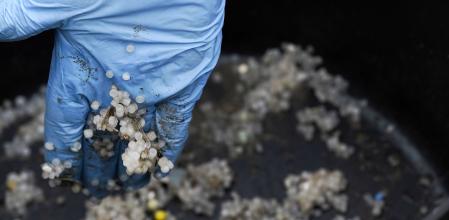 Preocupación por la posibilidad de ingerir pellets a través del pescado: “Entran por donde entran y salen por donde salen”