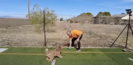 La historia del hombre condenado a cadena perpetua que recibió una segunda oportunidad por entrenar a perros