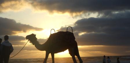 Casablanca, la ciudad invitada de las fiestas de la Mercè, comparte con la anfitriona, Barcelona, su condición de metrópoli con unas muy concurridas playas urbanas