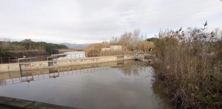 El estanque de la Murtra