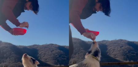 Enternece enseñando a su cerdo y los trucos que es capaz de hacer