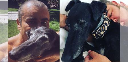 Lima es la galga que ha fallecido recientemente