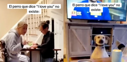 perro dice te quiero