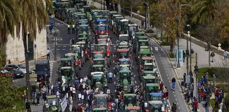 Las organizaciones agrarias y cooperativas de la Comunidad Valenciana inician un plan conjunto de movilizaciones
