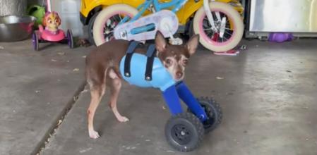 Thor prueba su nueva prótesis