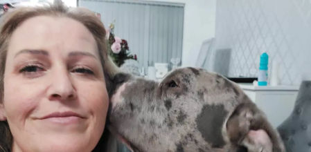 Se gasta más de 15.000 euros de su premio de la lotería para intentar salvar a su perro enfermo