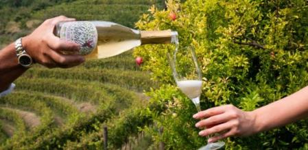 Mazzalúa quiere ser la bebida de los jóvenes que eligen no beber alcohol, pero no renuncian a la experiencia sensorial que brinda el vino.