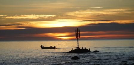 Cormoranes vigilando la barca de los pescadores.