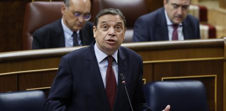 MADRID, 21/02/2024.- El ministro de Agricultura, Luis Planas, interviene en la sesión de control al Gobierno este miércoles en el Congreso EFE/ Chema Moya