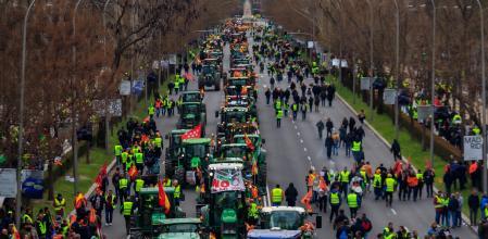 Imagen de la tractorada de Madrid en 2024.