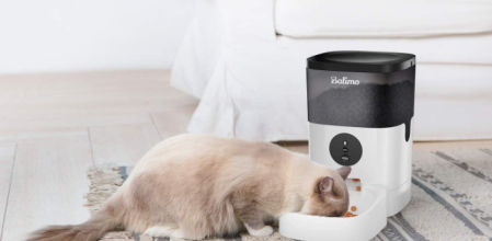 Un gato comiendo de un comedero eléctrico