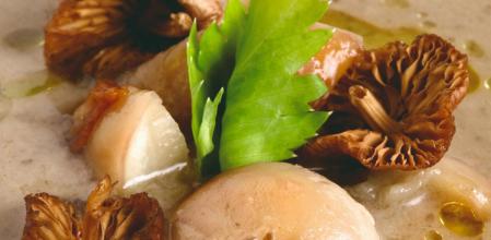 Crema de setas con Jerez, una receta exquisita