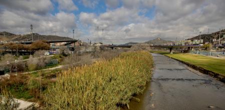 FOTO ALE. GARCIA TERCERA FASE DEL REFUGIO DE BIODIVERSIDAD EN SANTA COLOMA DE GRAMENET JUNTO AL RIO BESOS EN EL LADO DE BARCELONA 2024/03/12