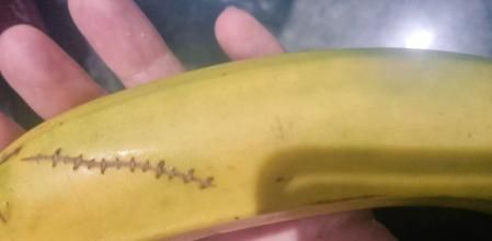 Pide ayuda para saber qué trae la cáscara de su plátano y desencadena una ola de chistes: “Han operado al plátano de fimosis. De nada”