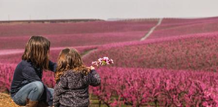 Espectáculo de la floración en Aitona