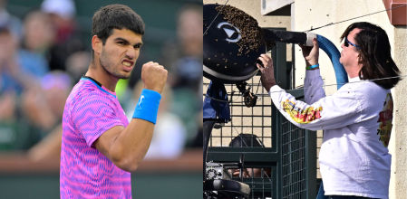 Alcaraz se hizo con la victoria después de que un apicultor retirara todas las abejas sin protección