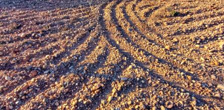 Señales en el campo en Rellinars.