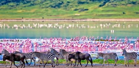 Cráter del Ngorongoro