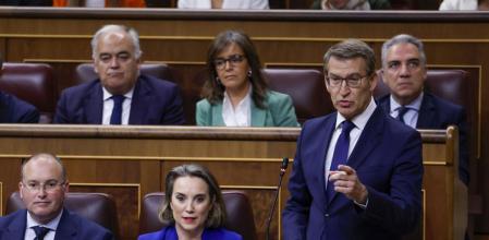 El líder popular, Alberto Núñez Feijóo (d), interpela al Gobierno durante la sesión de control al Gobierno este miércoles en el Congreso de los Diputados.
