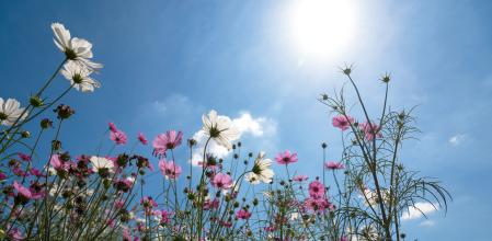 La primavera comenzó a las 4:06 horas del 20 de marzo