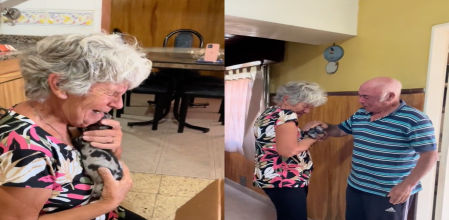 Esta perrita ha sido una alegría para estos ancianos